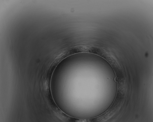 X0000097980131200804011753
