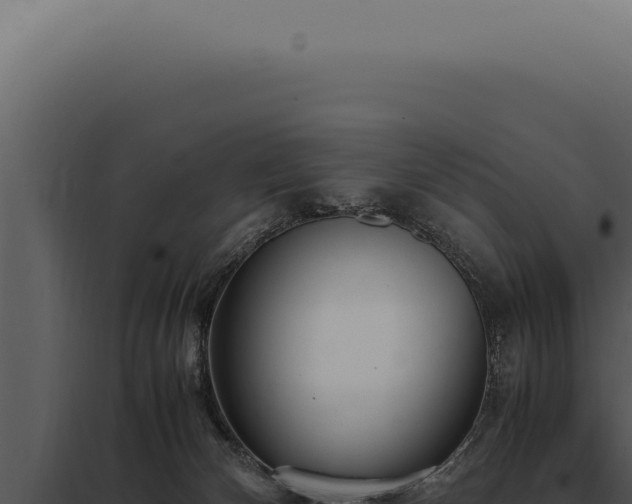 X0000097980132200804011753