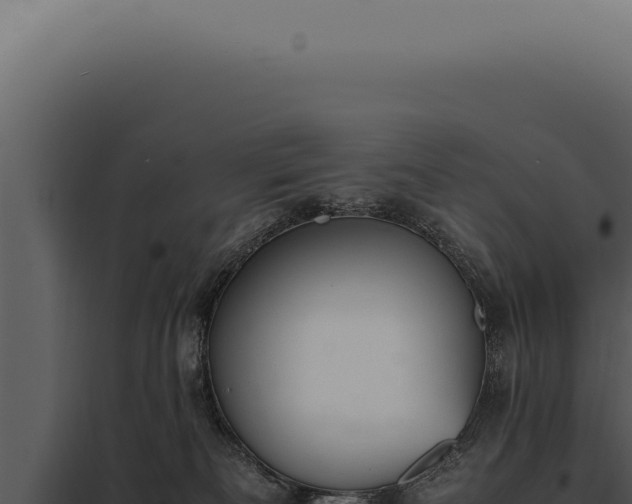 X0000097980133200804011753