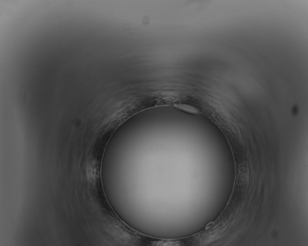 X0000097980135200804011753