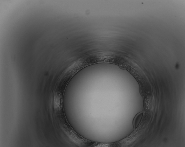 X0000097980138200804011753