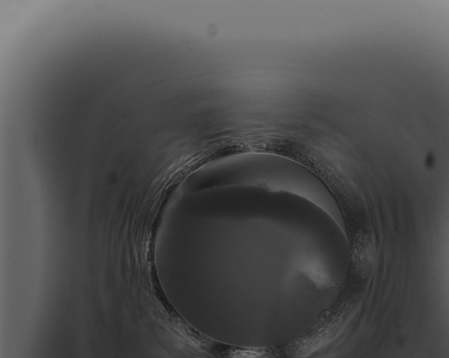 X0000097980139200804011753