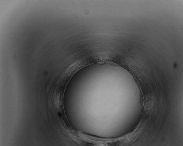 X0000097980140200804011753