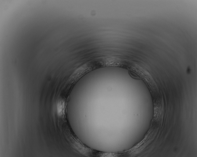X0000097980142200804011753