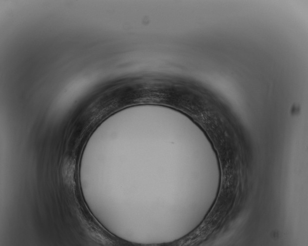 X0000097980146200804011752