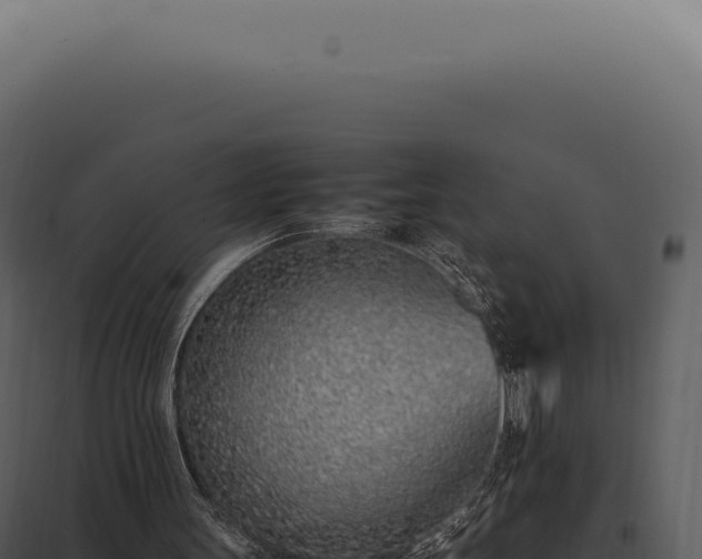 X0000097980147200804011752