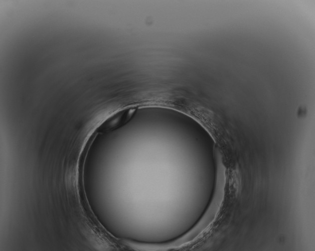 X0000097980148200804011752