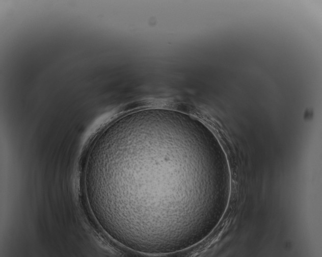 X0000097980149200804011752