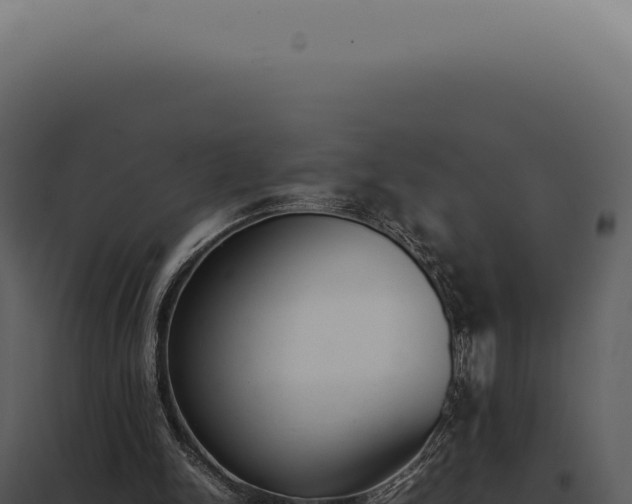 X0000097980150200804011752
