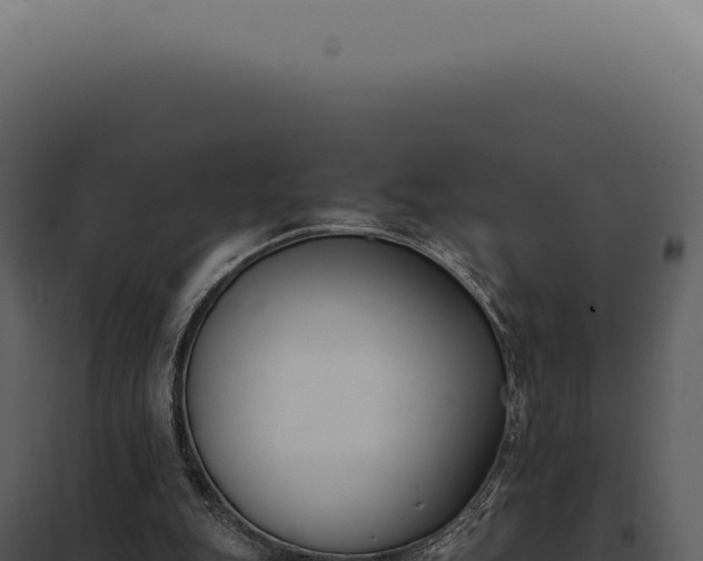 X0000097980151200804011752