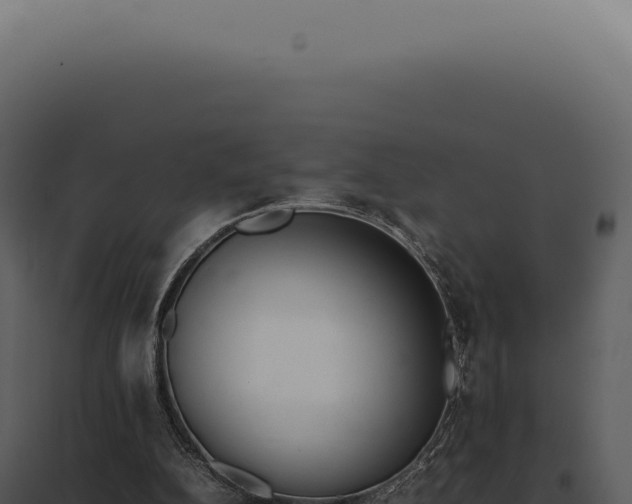 X0000097980152200804011752