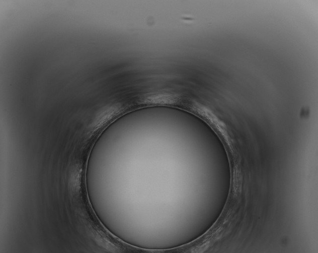 X0000097980153200804011752