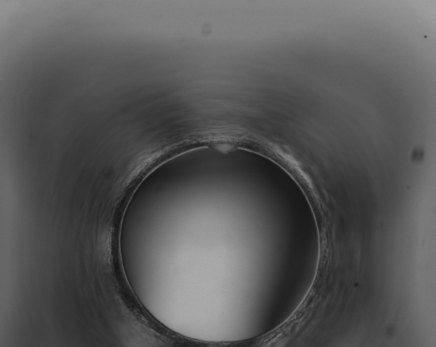X0000097980154200804011752