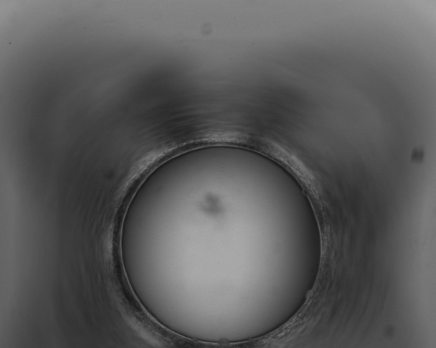 X0000097980155200804011752