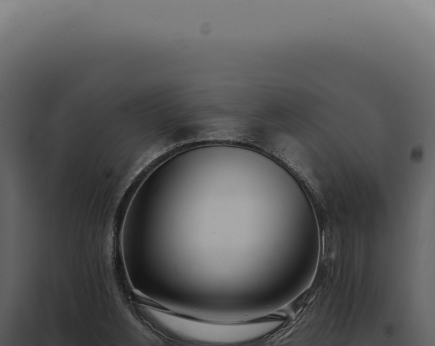 X0000097980156200804011752