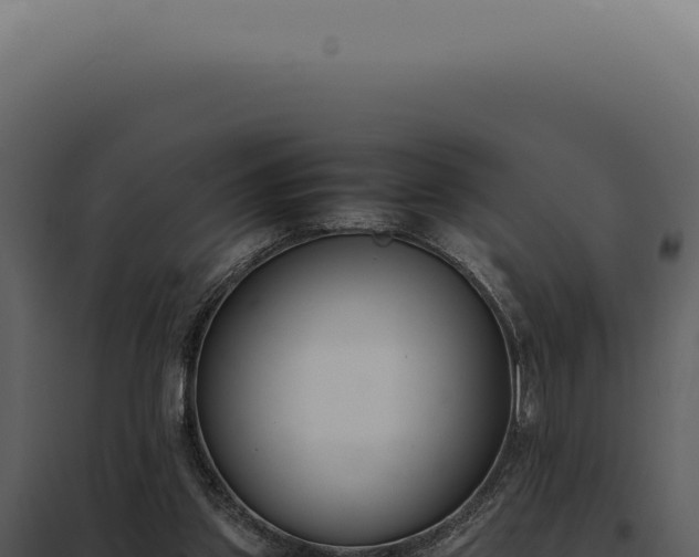 X0000097980157200804011752