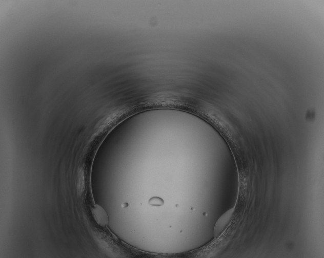 X0000097980158200804011752