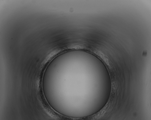 X0000097980159200804011752