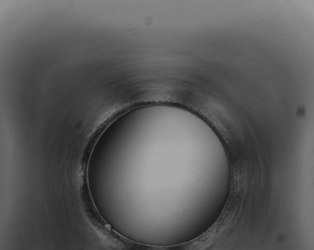 X0000097980160200804011752