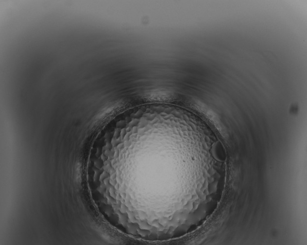 X0000097980161200804011752