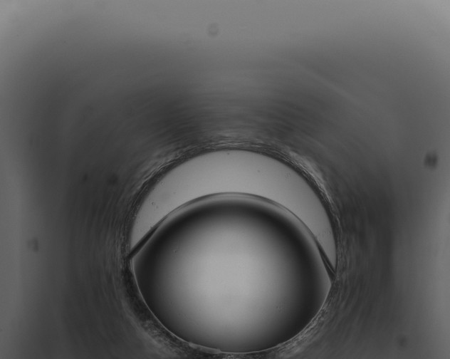 X0000097980162200804011752