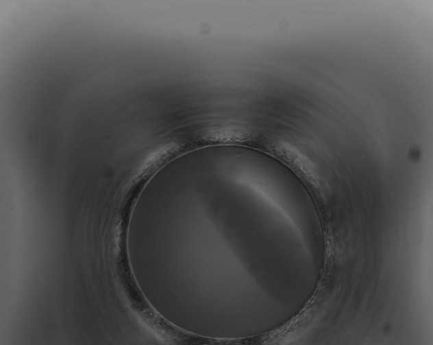 X0000097980163200804011752