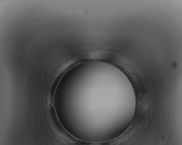 X0000097980164200804011752