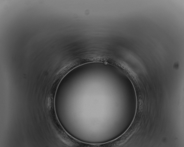 X0000097980165200804011752
