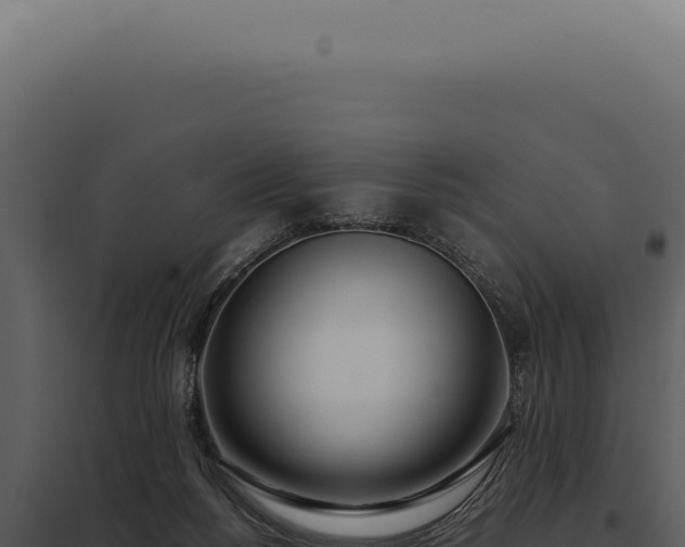 X0000097980168200804011753
