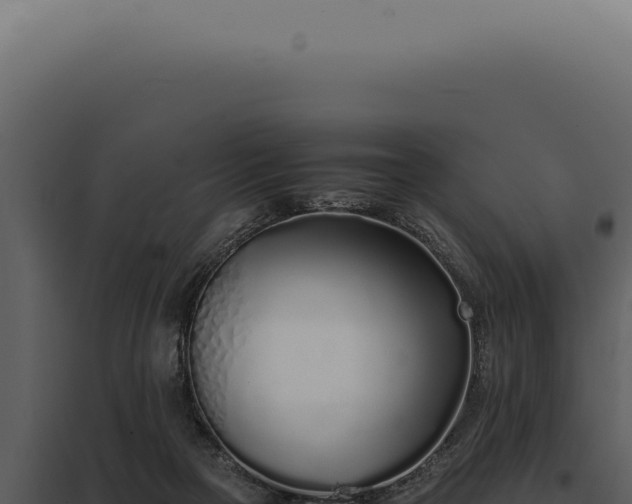 X0000097980169200804011753