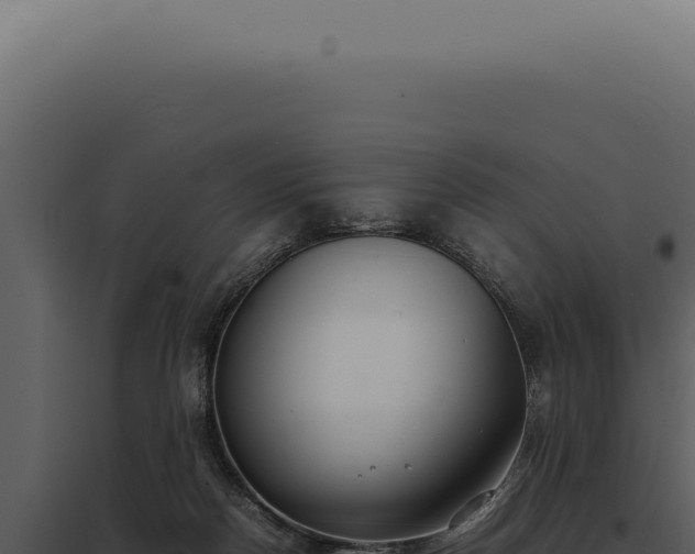 X0000097980170200804011753