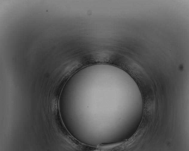 X0000097980172200804011753