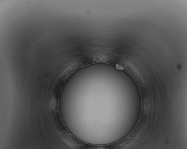 X0000097980173200804011753
