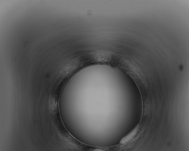 X0000097980176200804011753
