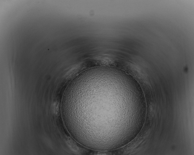 X0000097980177200804011753