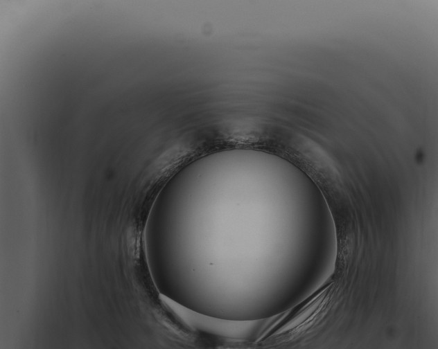 X0000097980180200804011753