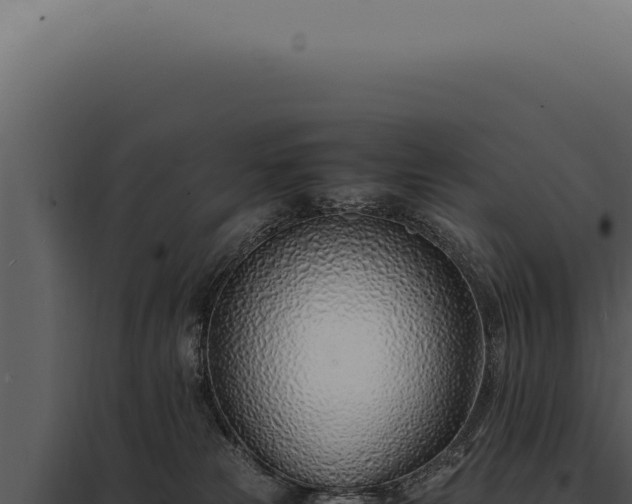 X0000097980181200804011753
