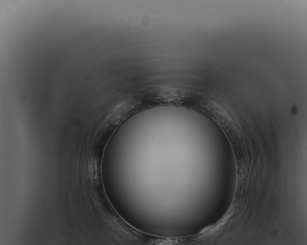 X0000097980182200804011753