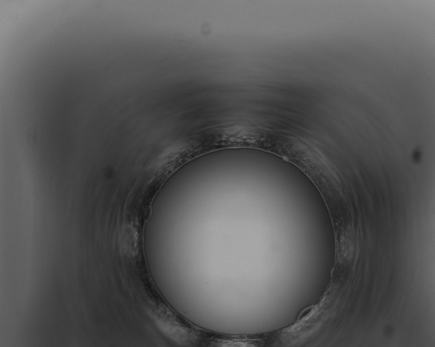 X0000097980183200804011753