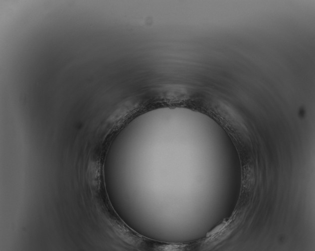 X0000097980184200804011753