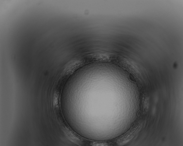 X0000097980185200804011753