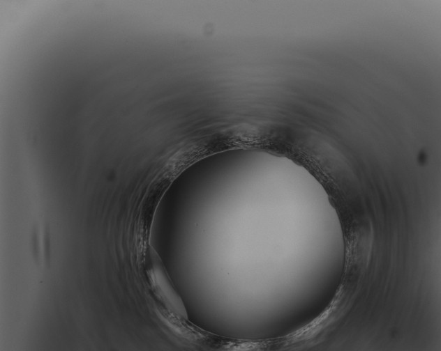 X0000097980186200804011753