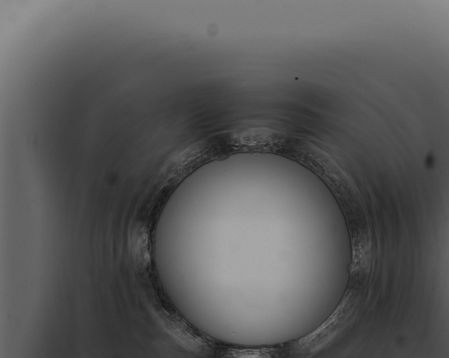 X0000097980187200804011753