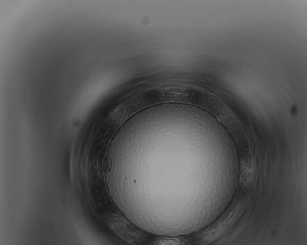 X0000097980189200804011753