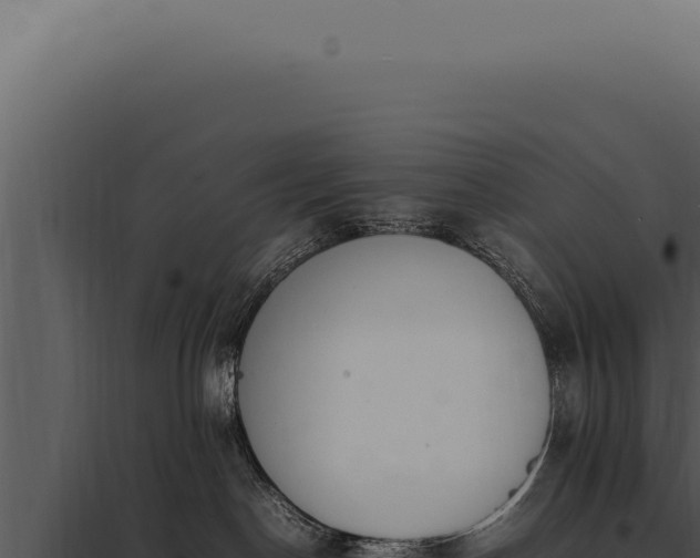 X0000097980190200804011753