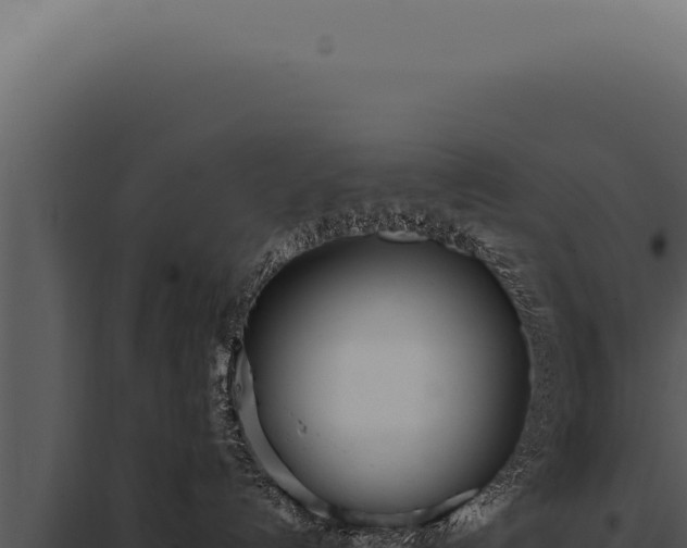 X0000097980192200804011753
