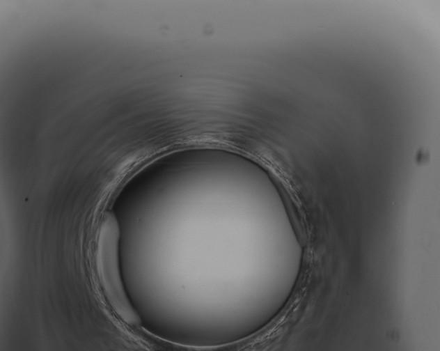 X0000097980193200804011752