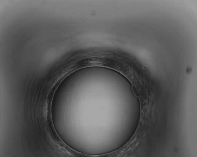 X0000097980194200804011752