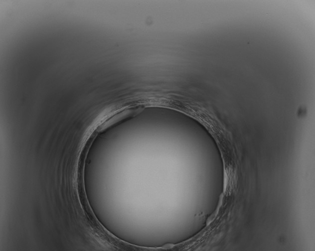 X0000097980195200804011752