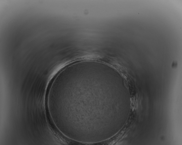 X0000097980196200804011752